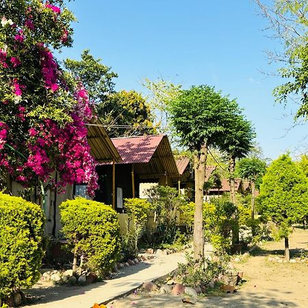 Отель Camp High 5 Jayalgarh Dangchura Экстерьер фото