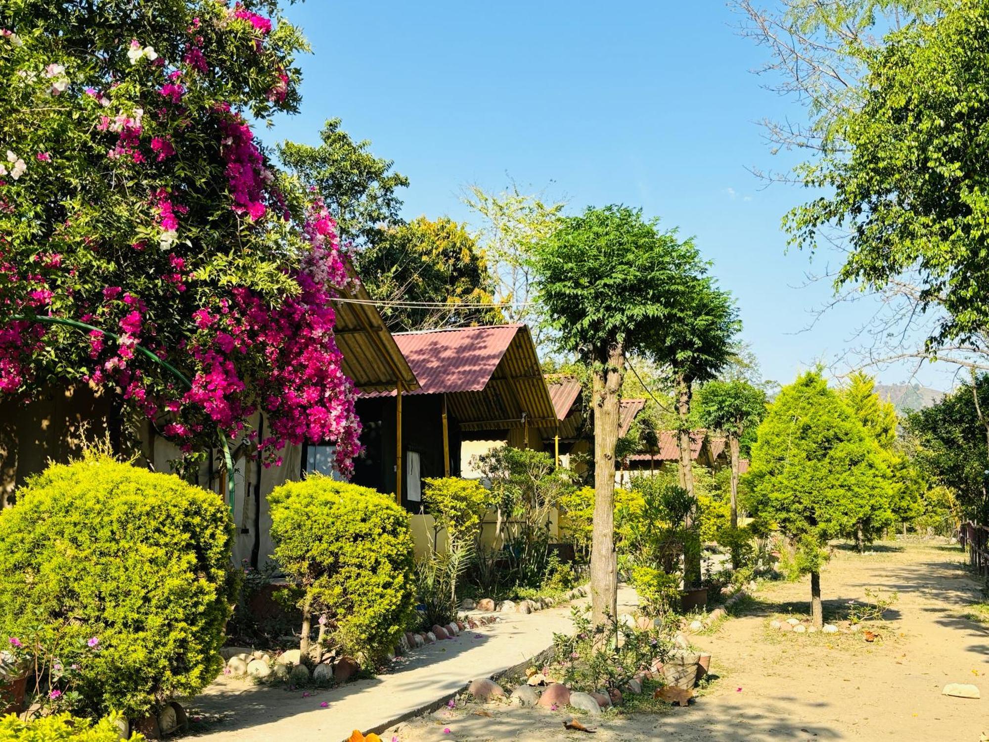 Отель Camp High 5 Jayalgarh Dangchura Экстерьер фото